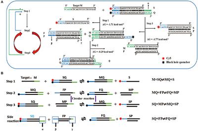 An Artificial Intelligent Signal Amplification System for in vivo Detection of miRNA